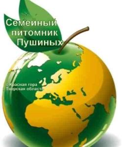 Семейный питомник Пушиных - Село Красная Гора Apple Globus (питомник) - копия.jpg